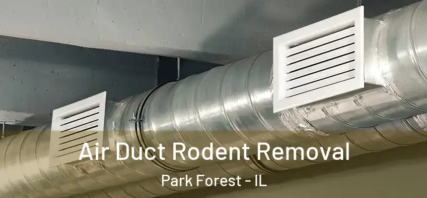 Air Duct Rodent Removal Park Forest - IL