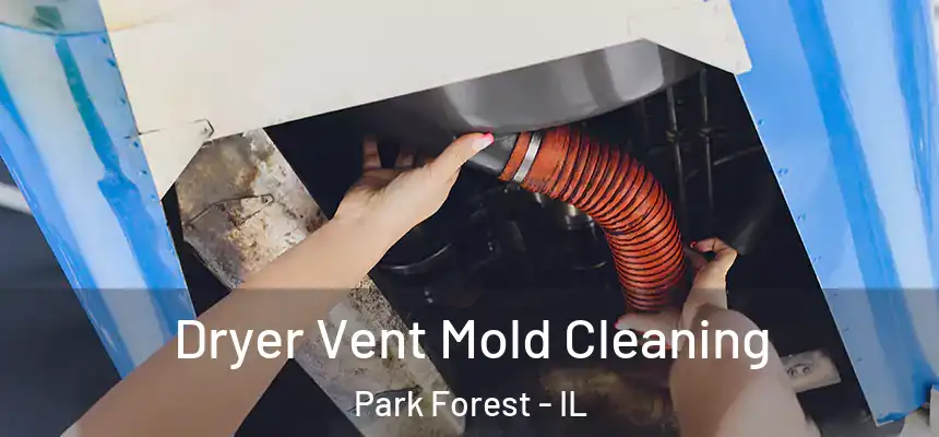 Dryer Vent Mold Cleaning Park Forest - IL