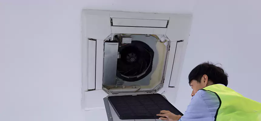 Our Dryer Vent Sanitization Service Services in Park Forest, IL