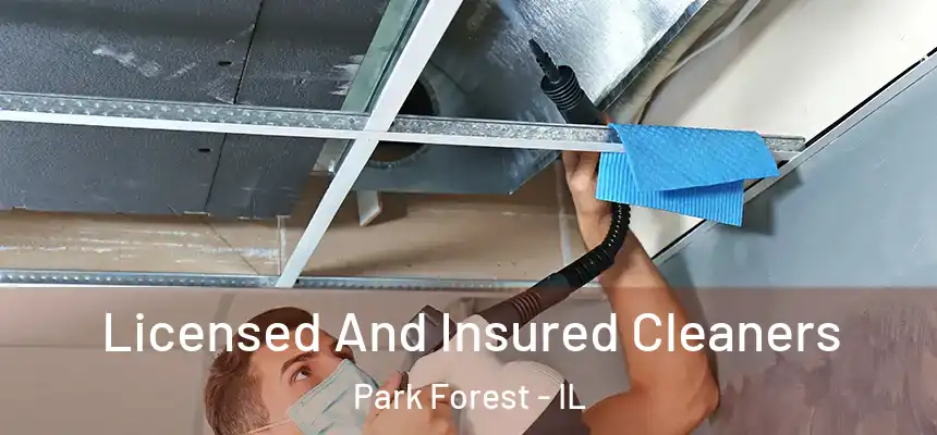  Licensed And Insured Cleaners Park Forest - IL