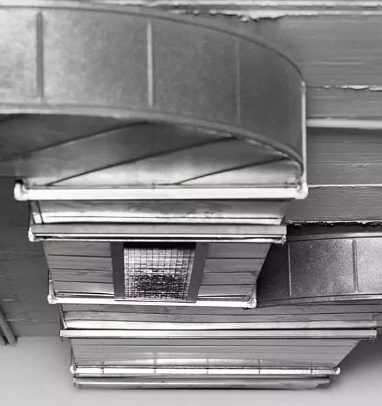 Professional Air Duct Pest Removal in Park Forest, IL