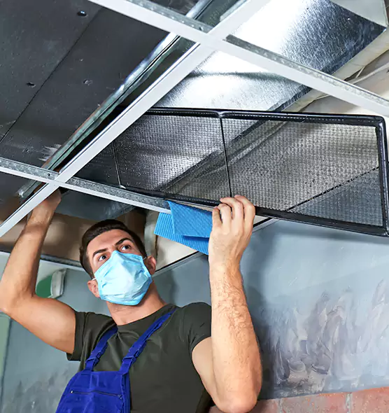 Professional Air Duct Pollen Cleaning in Park Forest, IL
