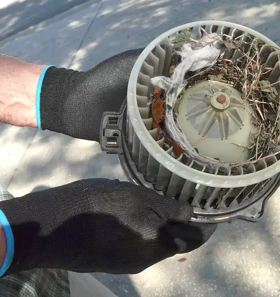 About Air Duct Rat Removal in Park Forest, IL