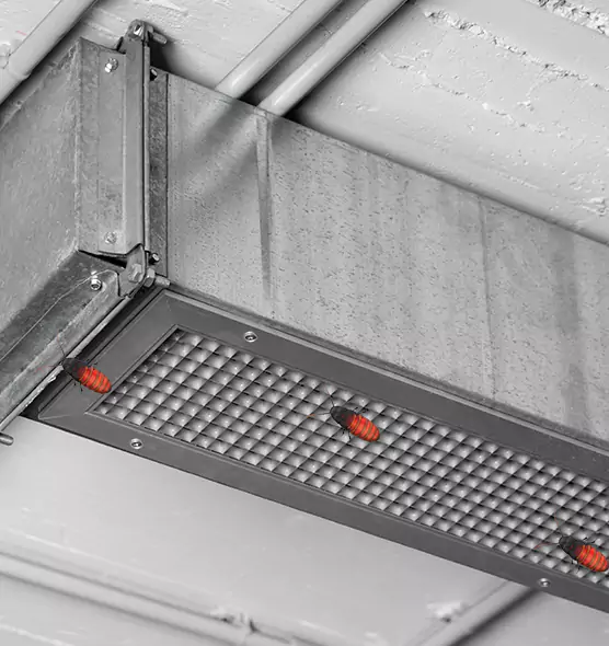 Affordable Insect Removal from Air Ducts in Park Forest, IL