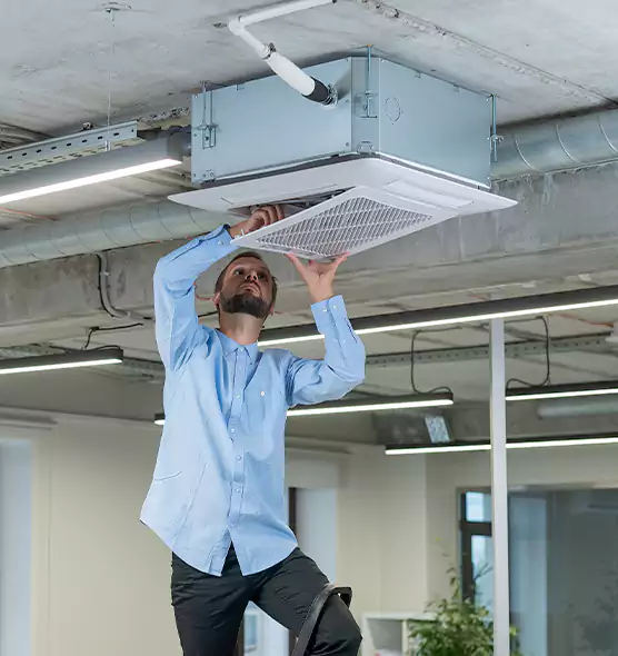 Advanced Rodent Droppings In Vents in Park Forest, IL