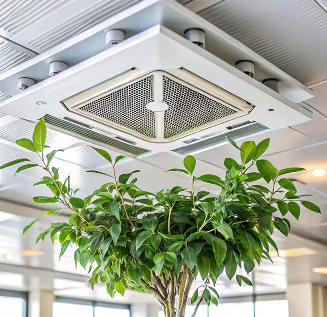 Why Homeowners & Businesses Trust Us in Park Forest, IL