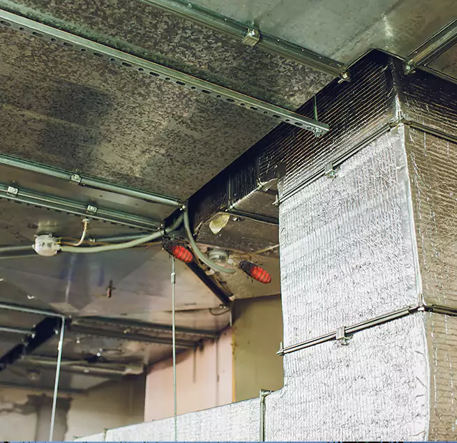 Why Homeowners & Businesses Trust Us Park Forest, IL?